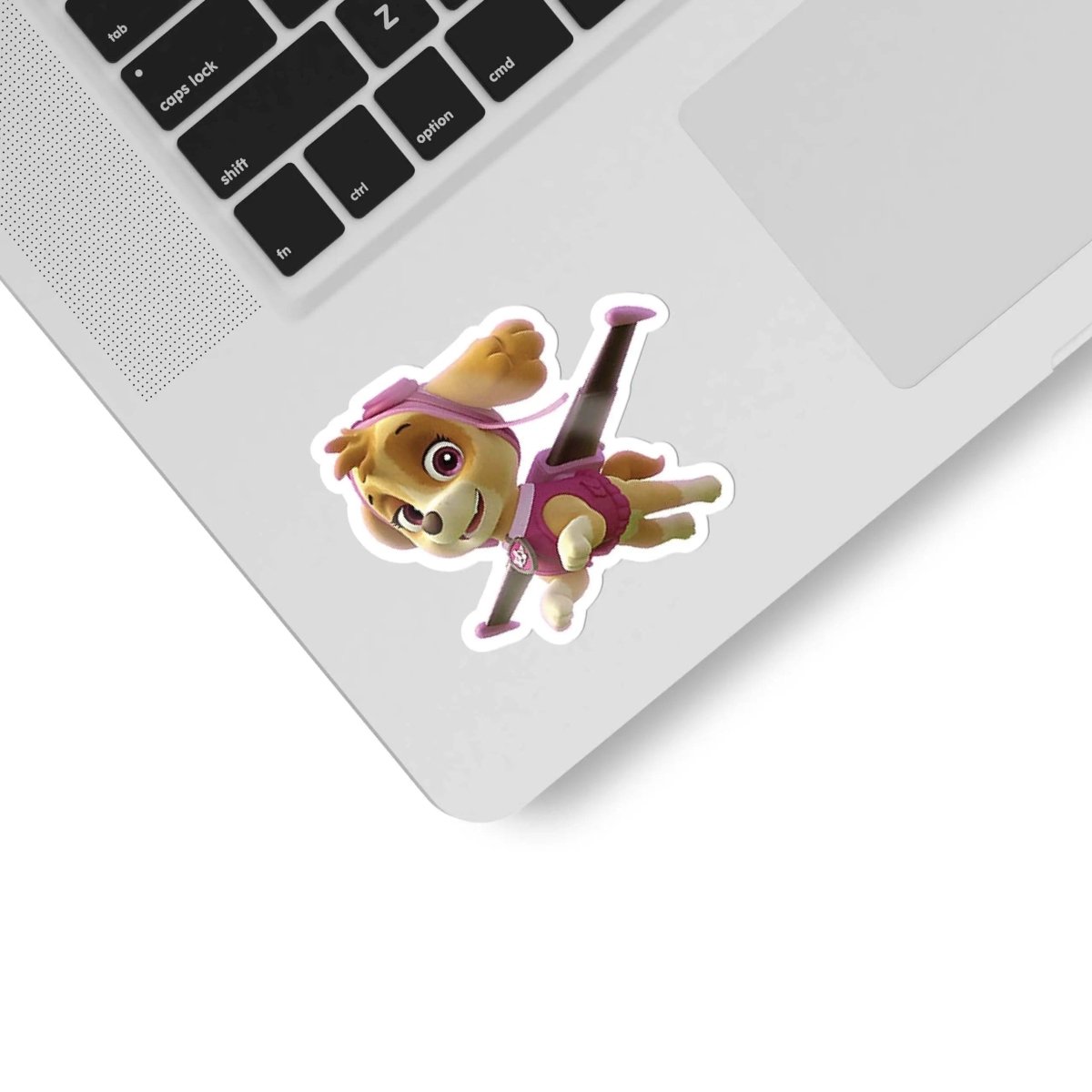 Psipatrol na laptopa