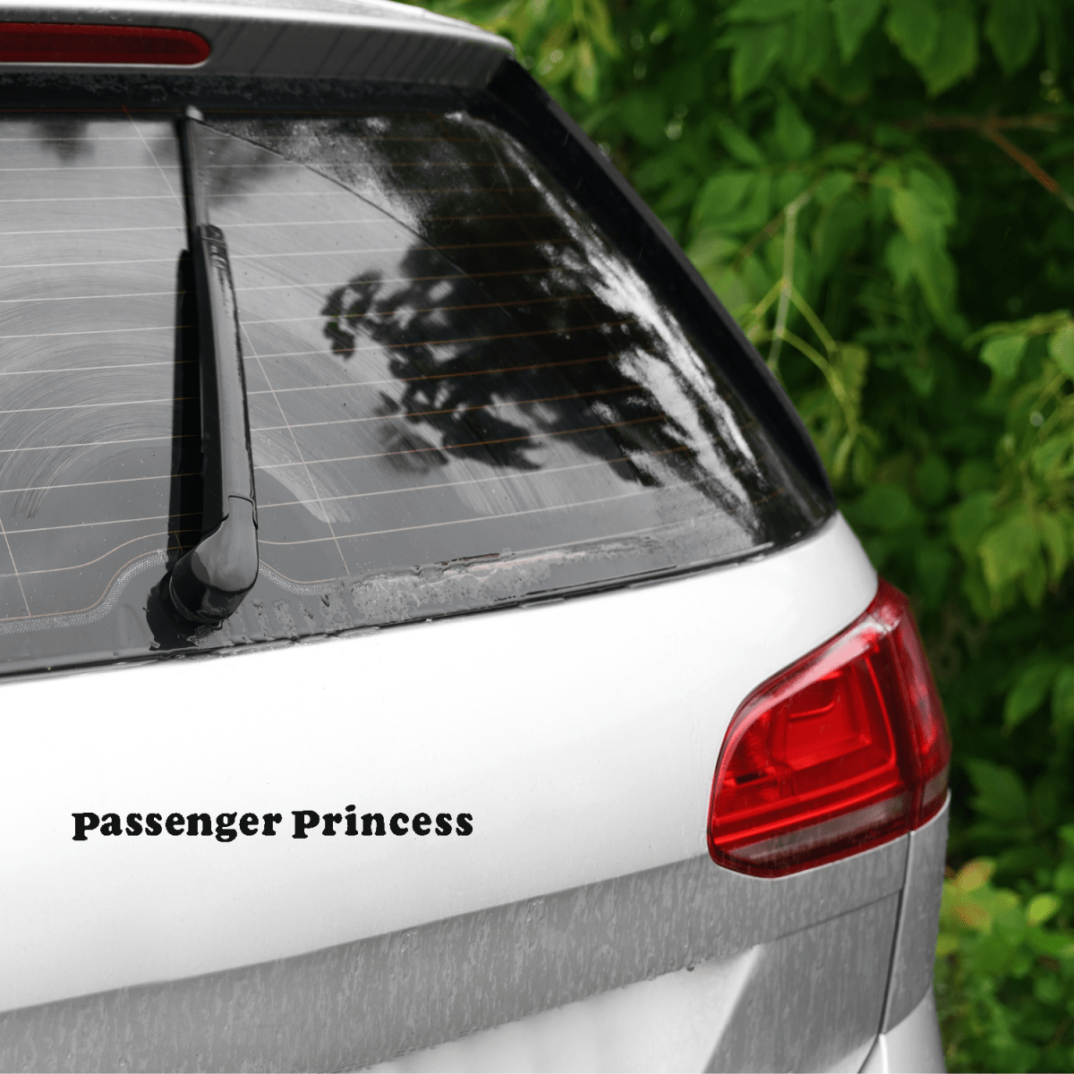 PASSENGER PRINCESS naklejka na auto z własnym wzorem czarna biała czerwona
