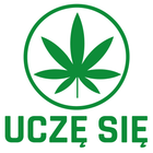 NAKLEJKA ZIELONY LISTEK UCZE SIĘ NA SAMOCHÓD POCZĄTKUJĄCYCH KIEROWCÓW